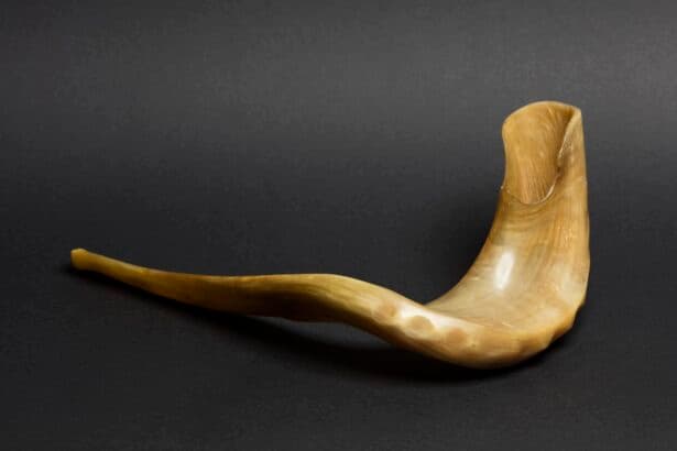 Studiedag Idesça 28 febr 2024